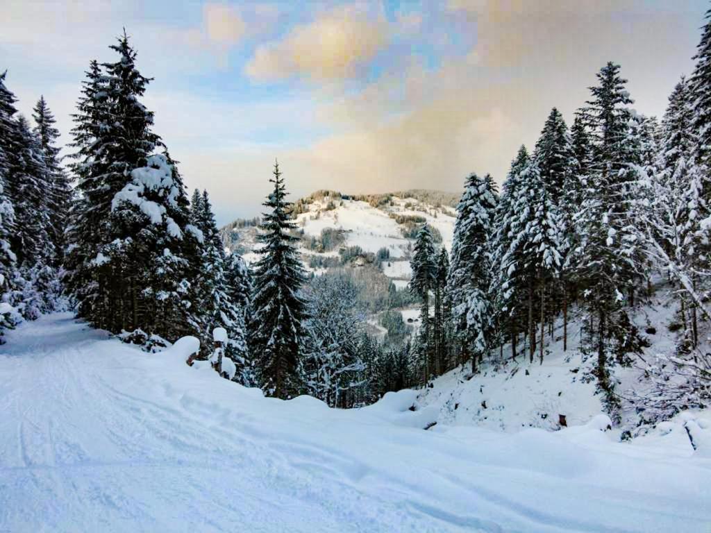 Hotel - Pension Oetzmooshof Sankt Johann im Pongau Buitenkant foto